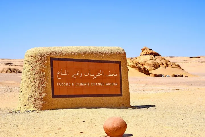 Day Trip Fayoum Oasis and Wadi El Hitan From Alexandria
