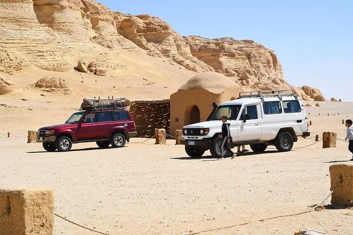 Day Trip to Wadi Al Hitan and Fayoum Oasis From Alexandria
