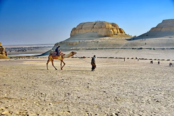 Alexandria to Fayoum Oasis and Wadi El Hitan