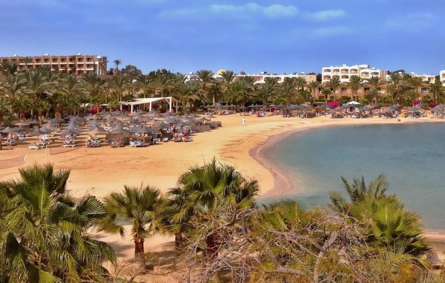 How to Get to Abu Dabbab Bay