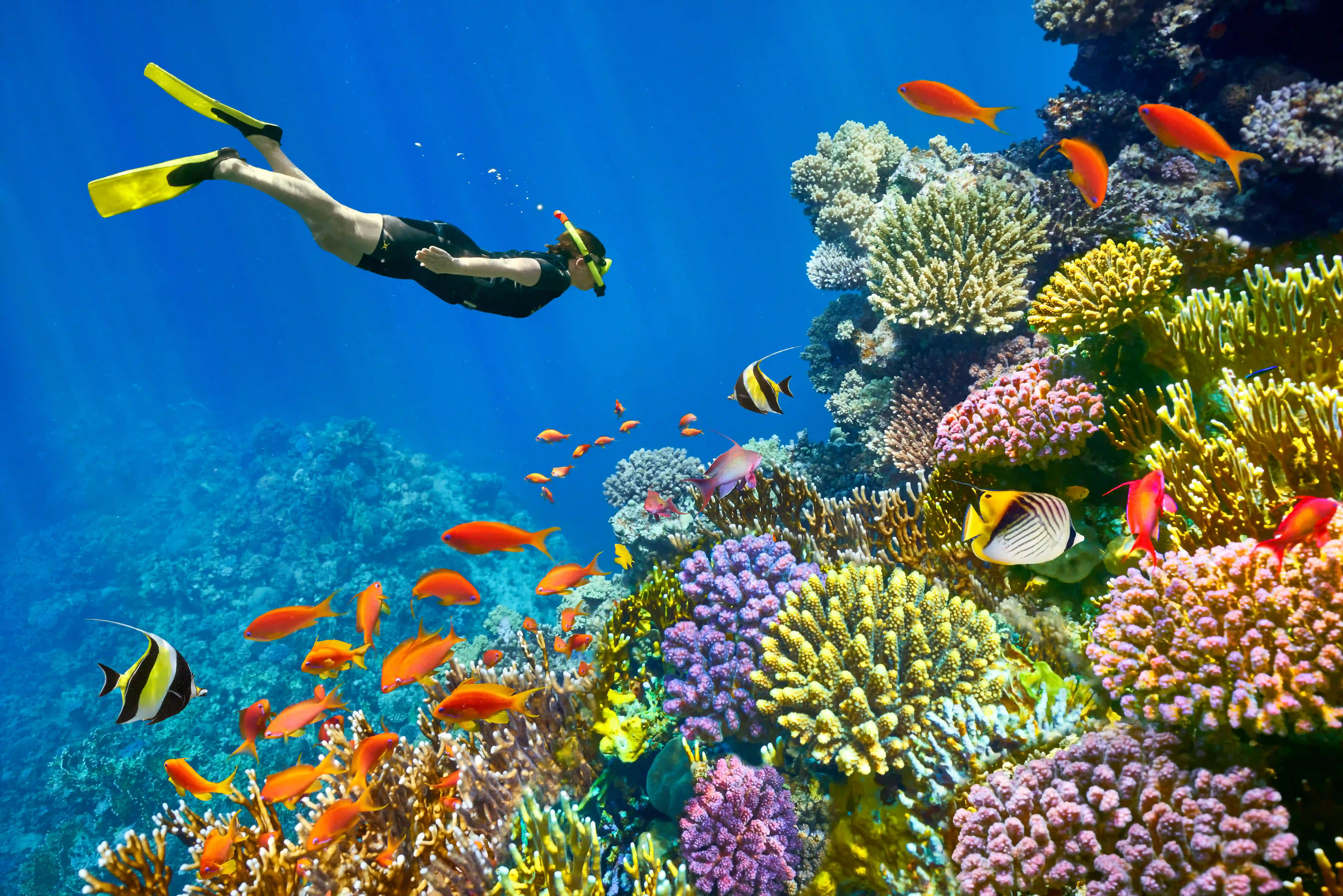 Sharm el Sheikh and Water Activities