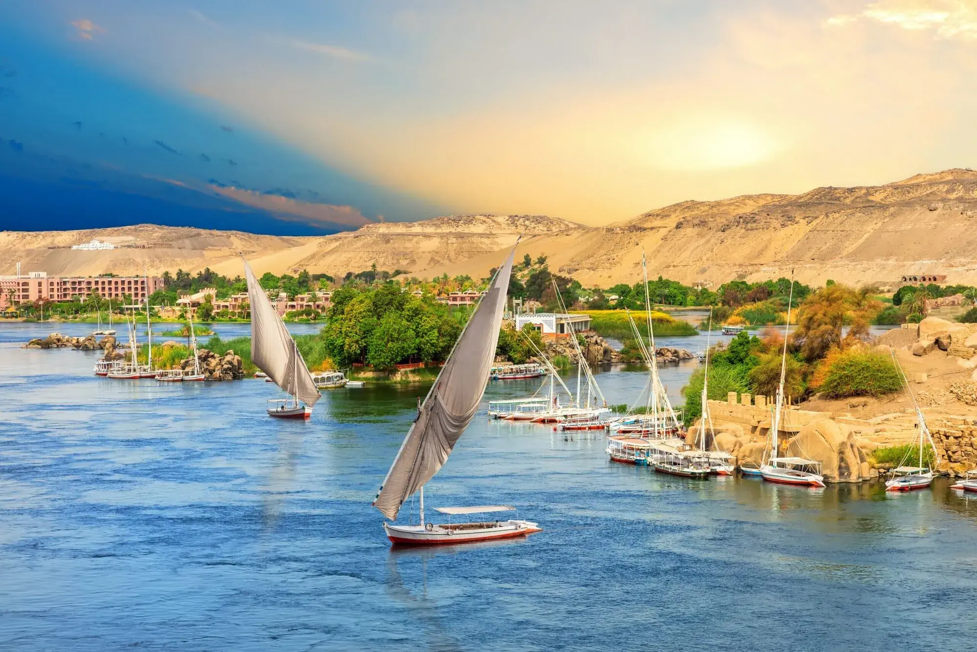 Why Hire a Licensed Egyptologist Guide in Aswan?