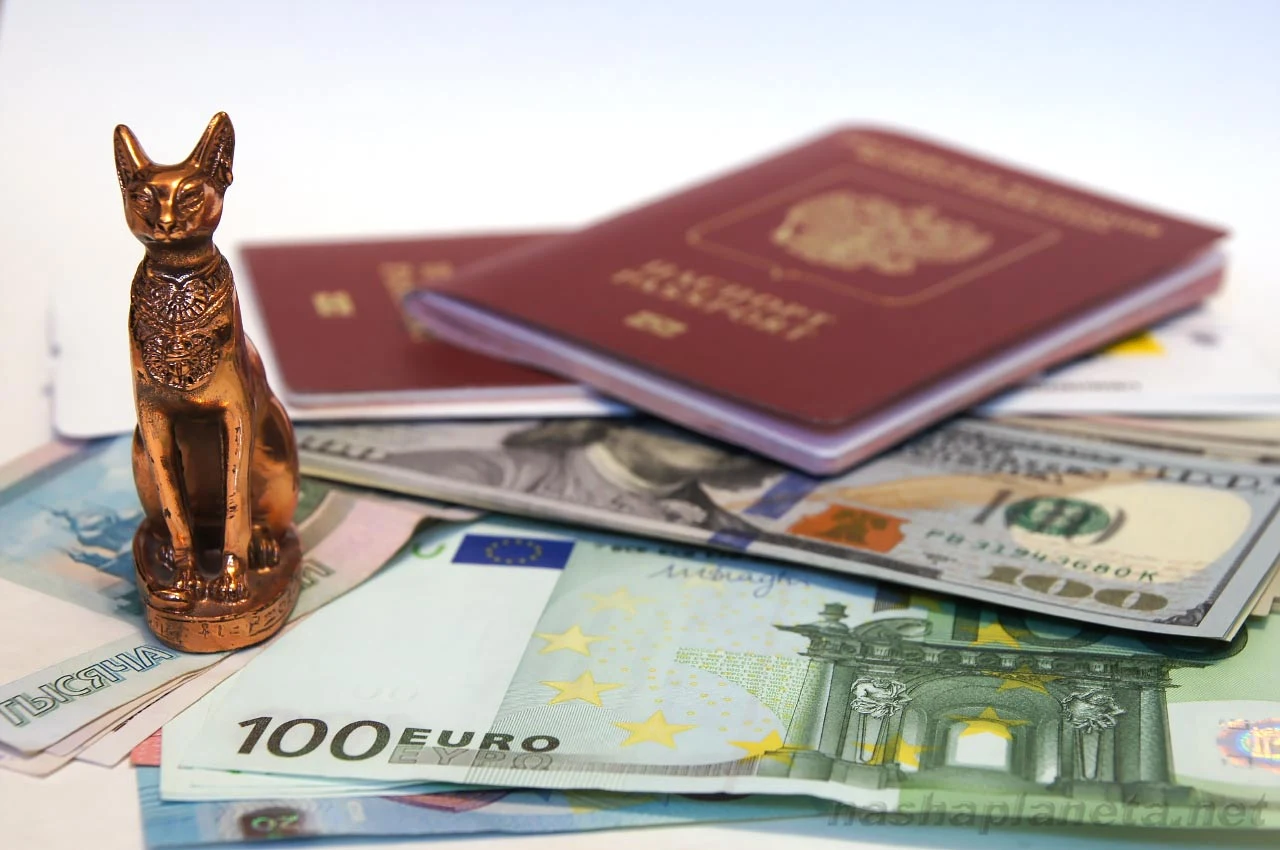 Best Currency to Take to Egypt 2026 - Complete Currency Guide for Travelers