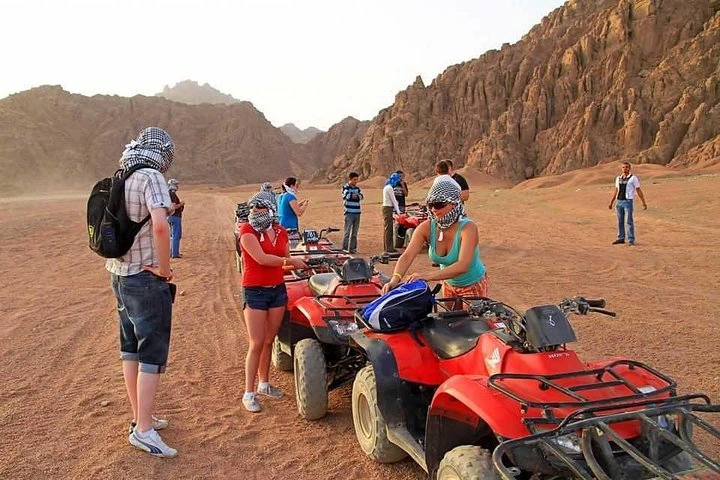 Local vs International Tour Operators
