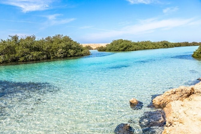 Snorkel and Dive in Ras Mohammed National Park