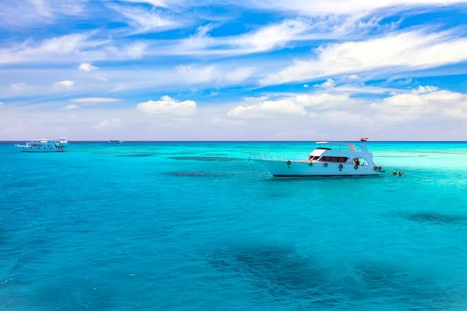 Take a Boat Trip to White Island