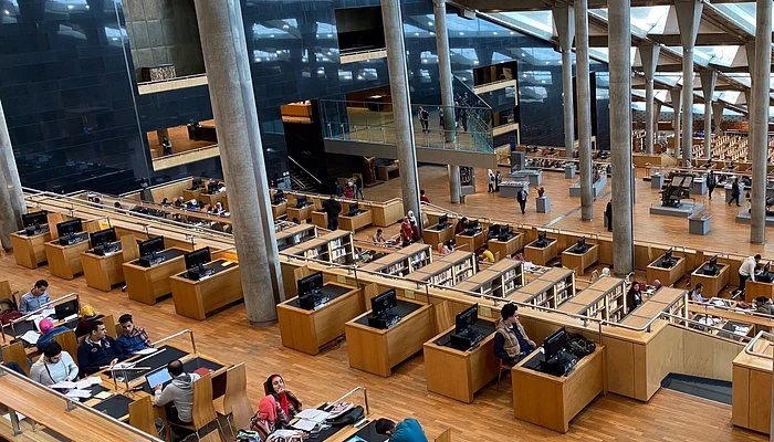 The Legacy of the Ancient Library of Alexandria