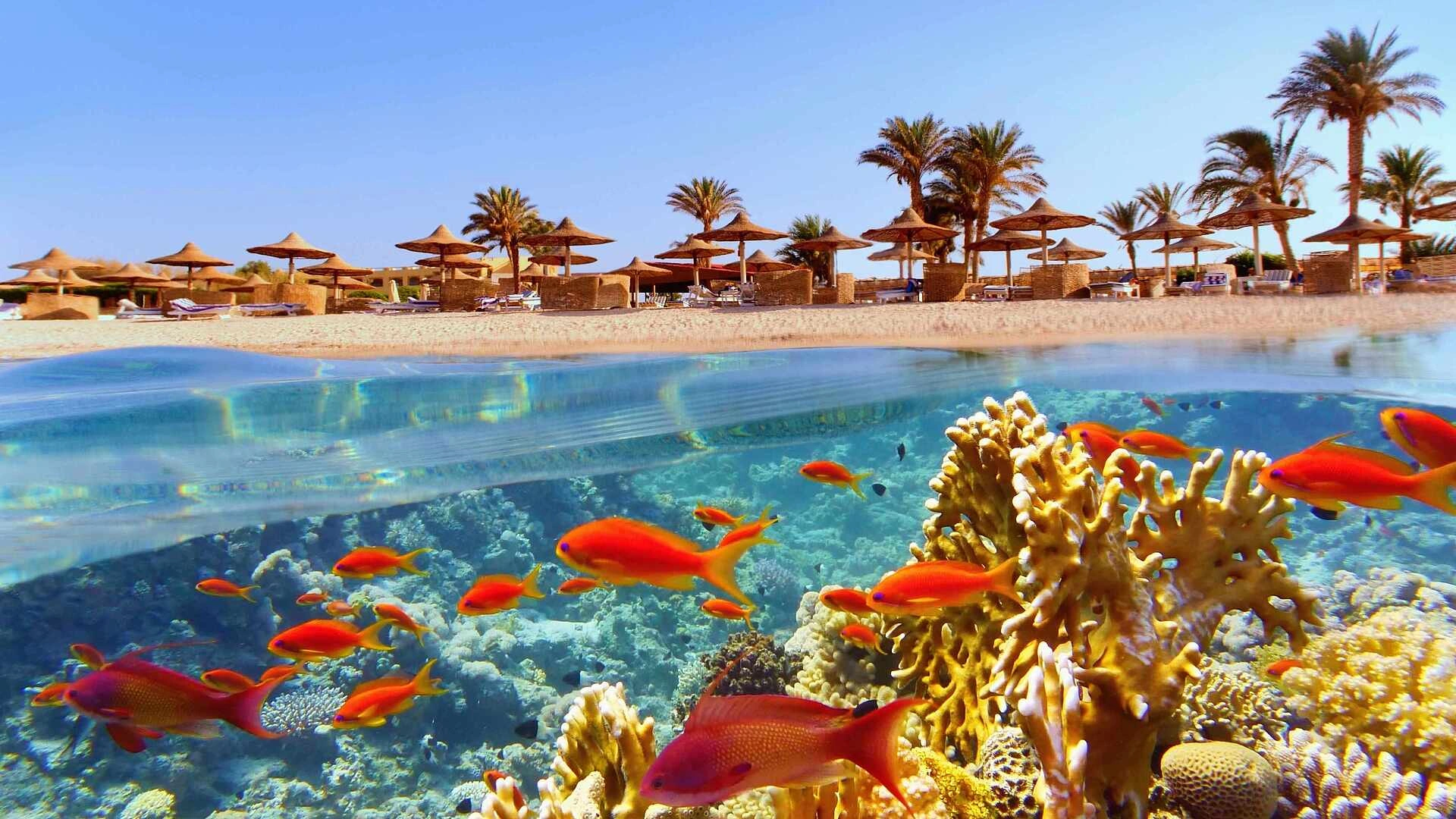 Can You Cancel a Holiday to Egypt and Get a Full Refund?