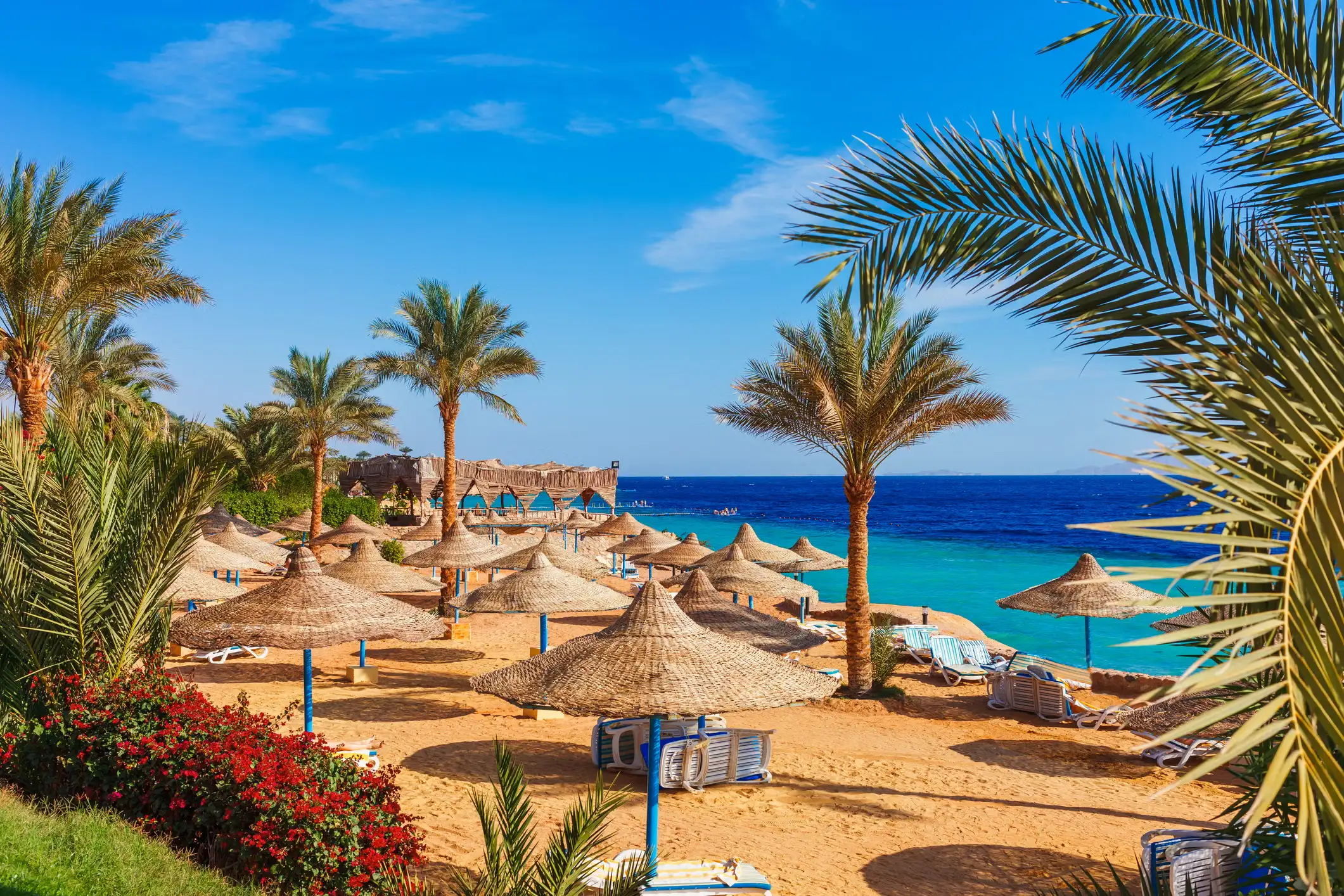 The Short Answer &mdash; Can I Cancel My Holiday to Egypt?