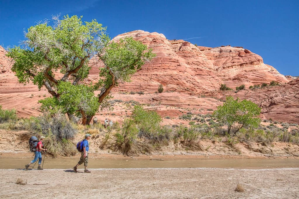 The Geology of the Colored Canyon &mdash; A Natural Masterpiece