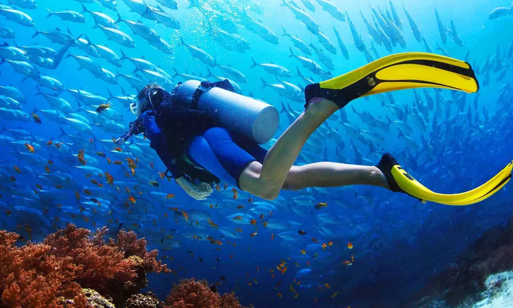 Best Dive Sites in Hurghada