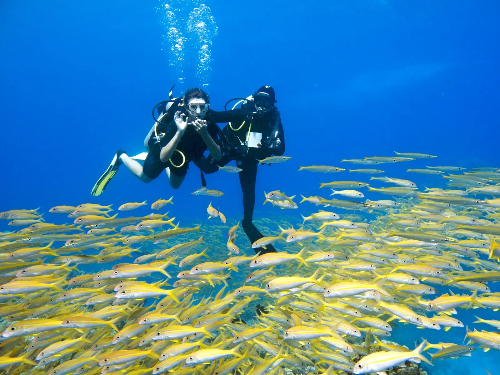 Best Time to Dive in Hurghada