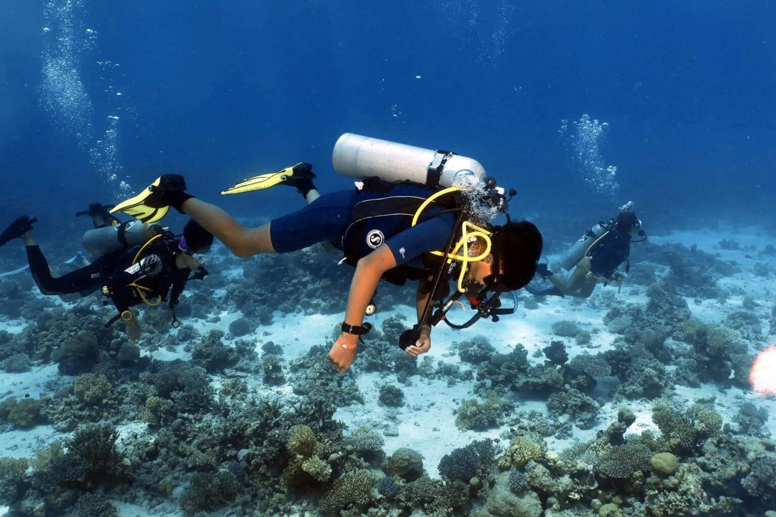 diving Hurghada price