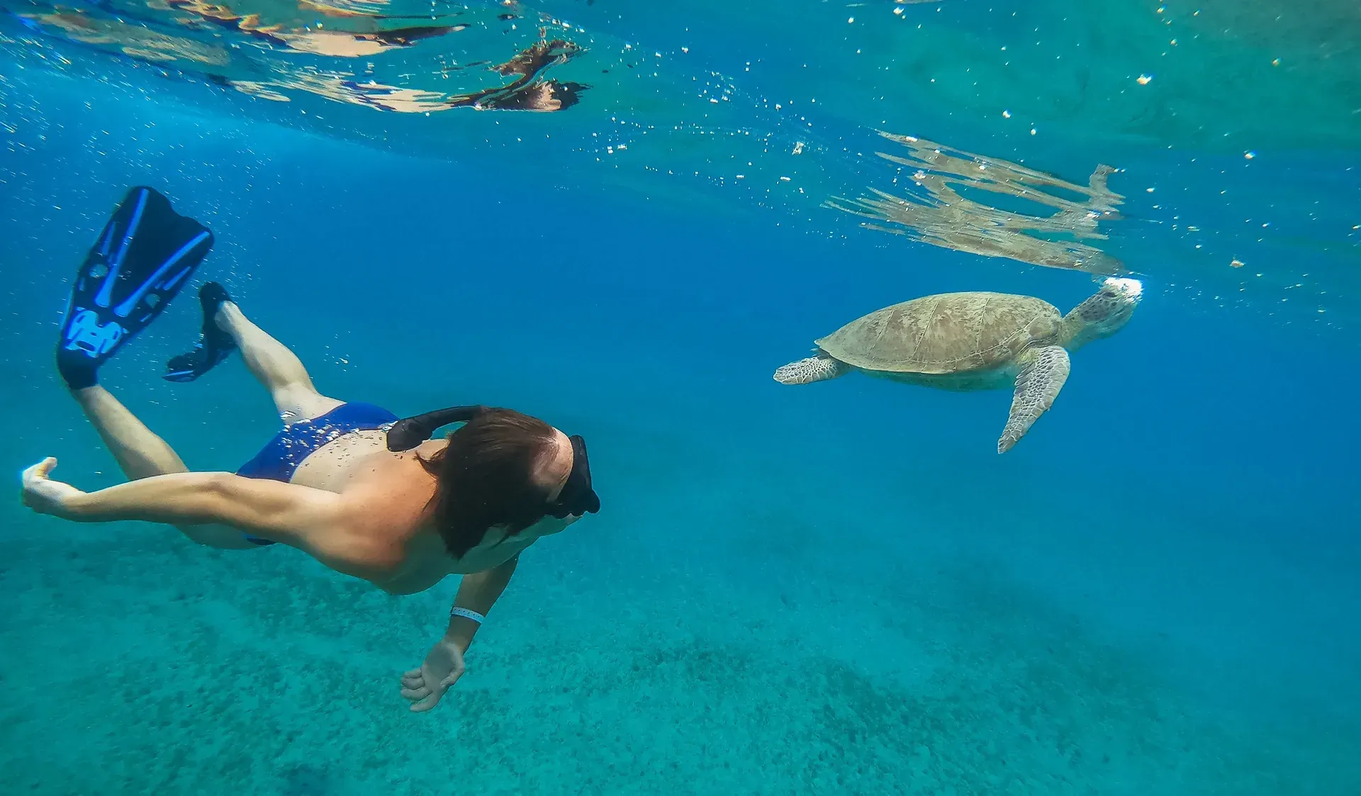 Tips for Getting the Best Diving Hurghada Price