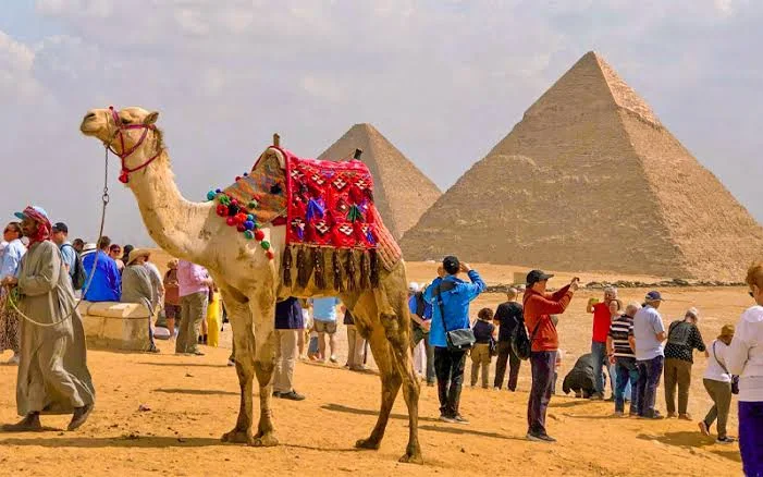 Why Visit Egypt in January?