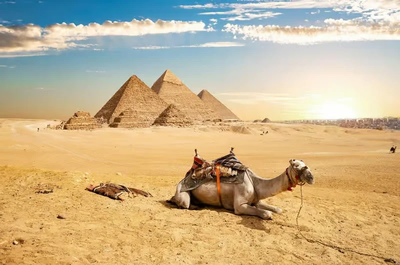 Special Cases — The Sinai Resort Visa-Free Policy
