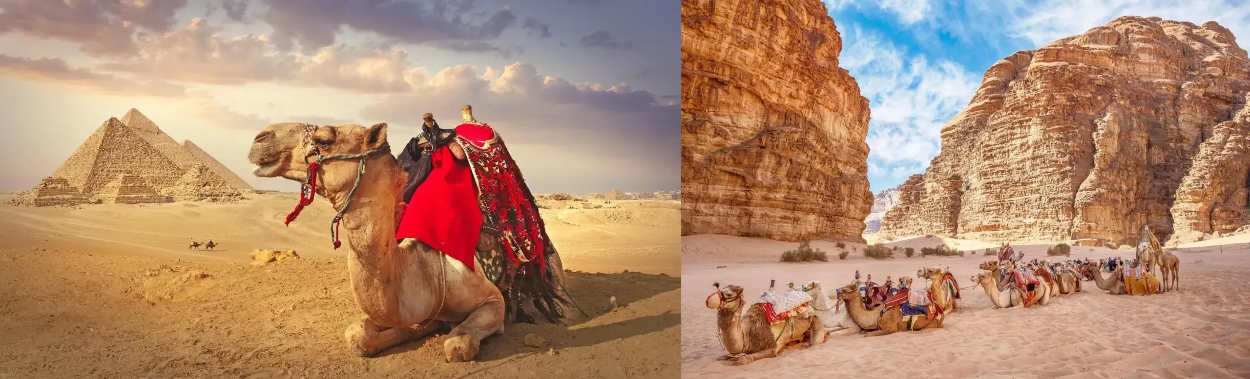 Egypt vs Jordan - Which Ancient Wonder Should You Visit Egypt or Jordan?