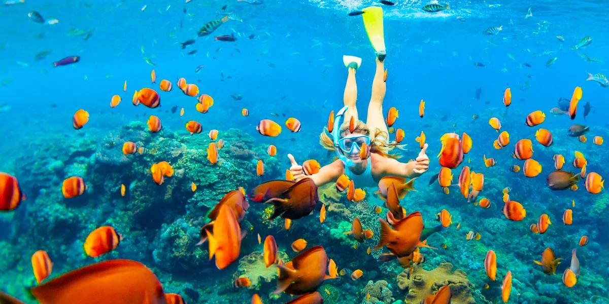 Diving and Snorkeling Excursions in Hurghada