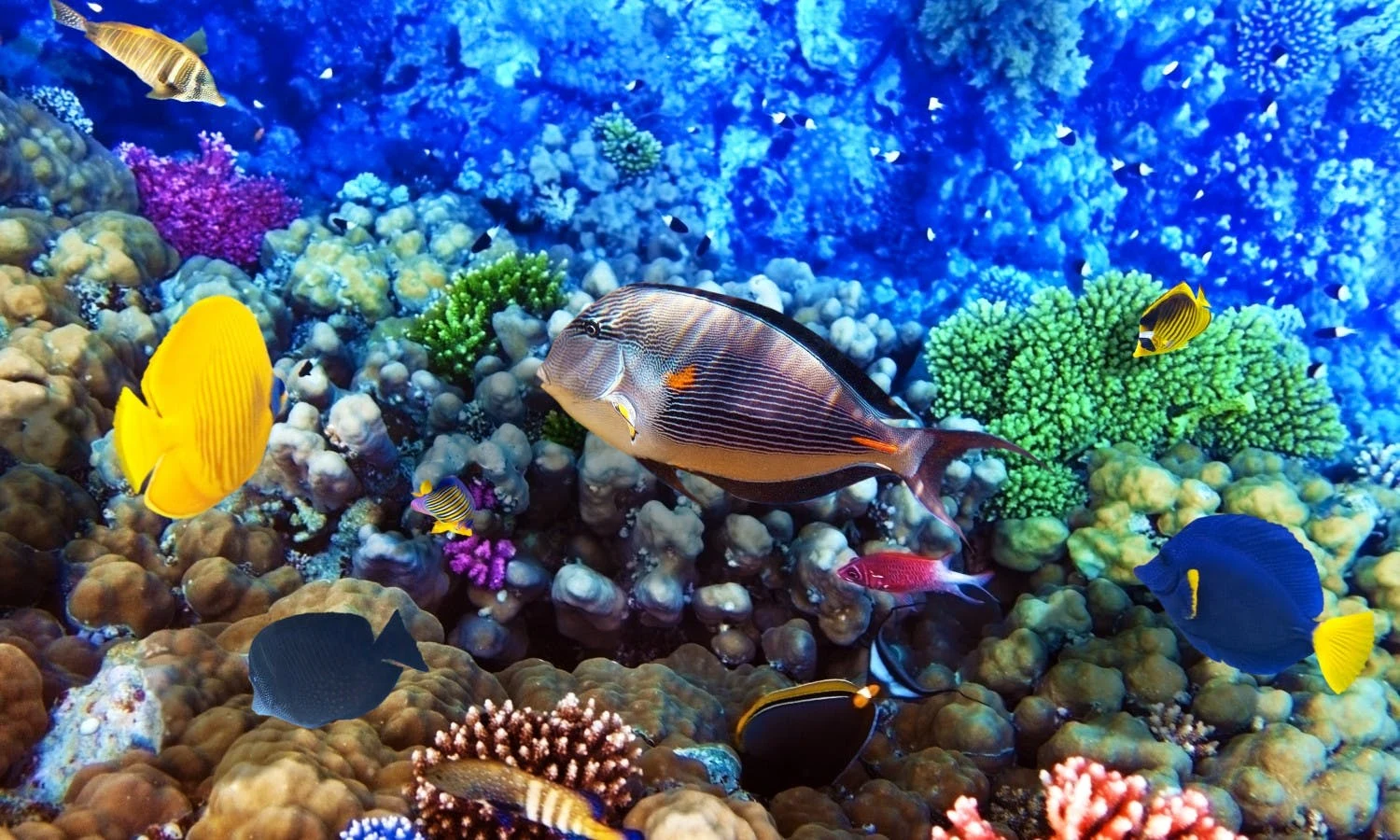 Hurghada Excursions Prices at a Glance