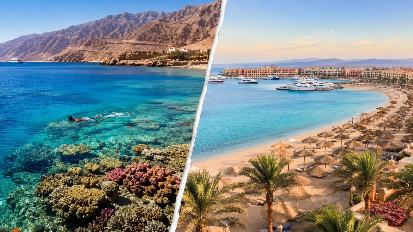 Hurghada or Sharm El Sheikh: The Ultimate Hurghada vs Sharm El Sheikh Travel Guide