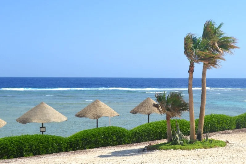 Marsa Alam vs Hurghada vs Sharm — Which Red Sea Destination Is Worth Visiting?