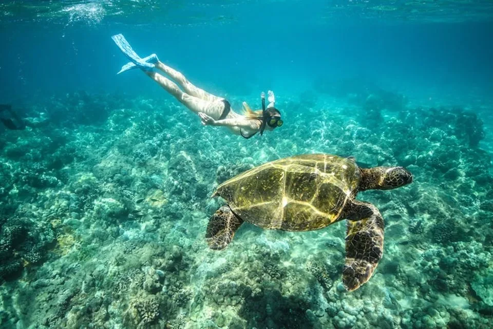 Top Reasons Marsa Alam Is Worth Visiting