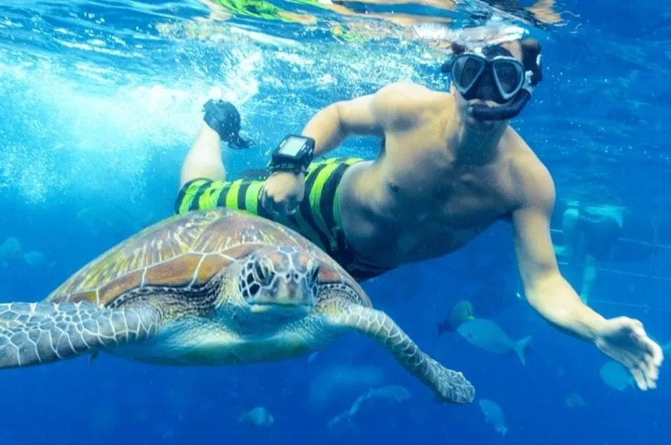 Day Trips With a Private Guide in Marsa Alam