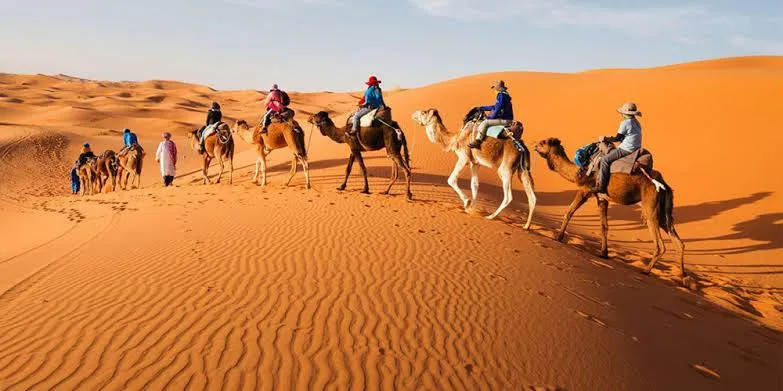 Who Should Hire a Private Guide in Marsa Alam