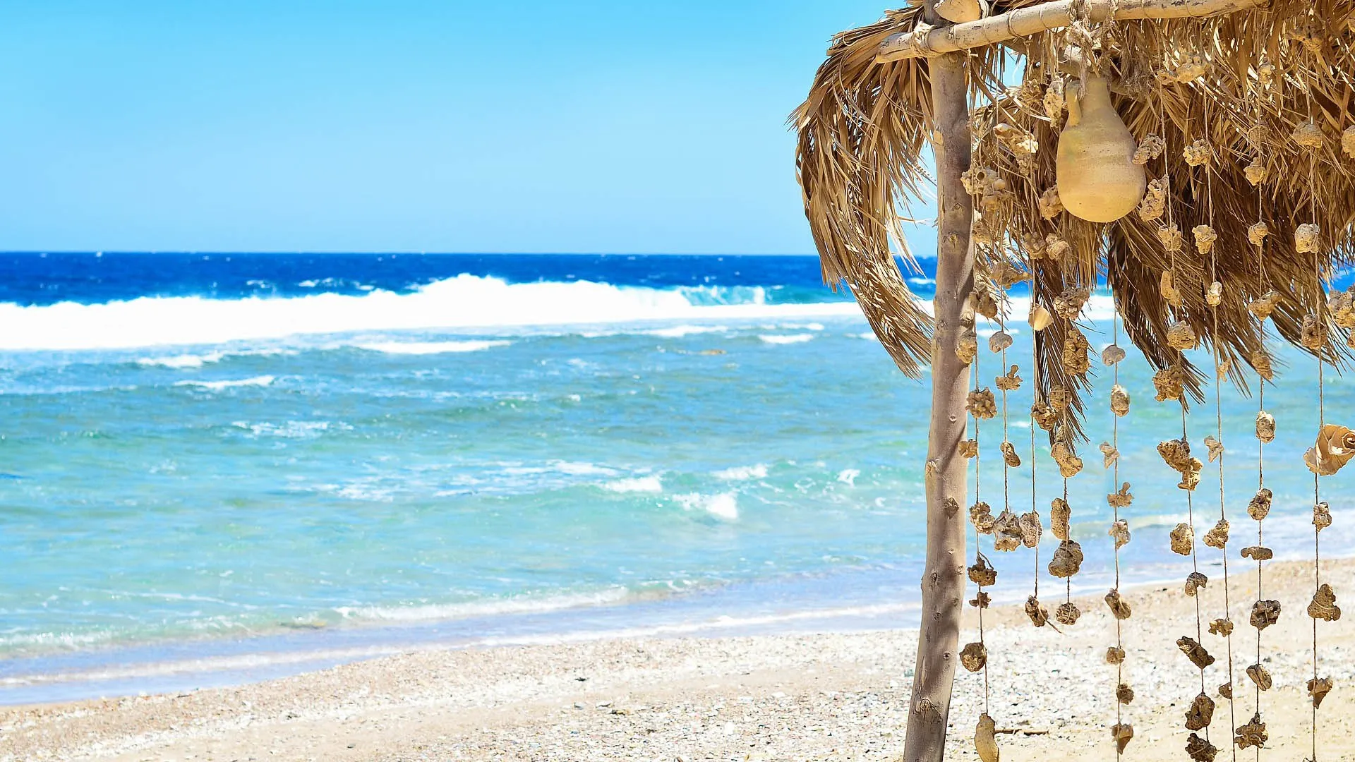 What to Expect on an Orange Bay Island Trip