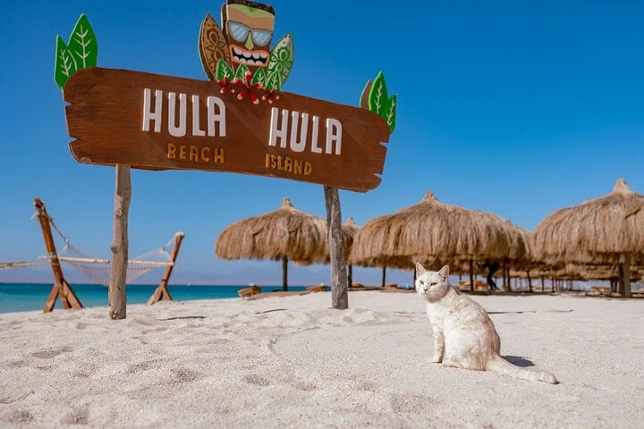 Orange Bay or Hula Hula Island &mdash; Which Island Suits Your Style?