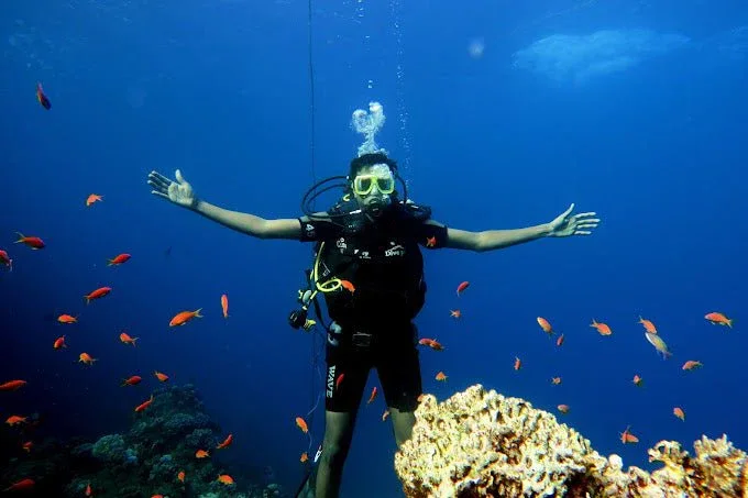 Best Time to Dive in Sharm El Sheikh