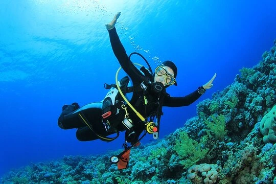 diving prices in Sharm El Sheikh