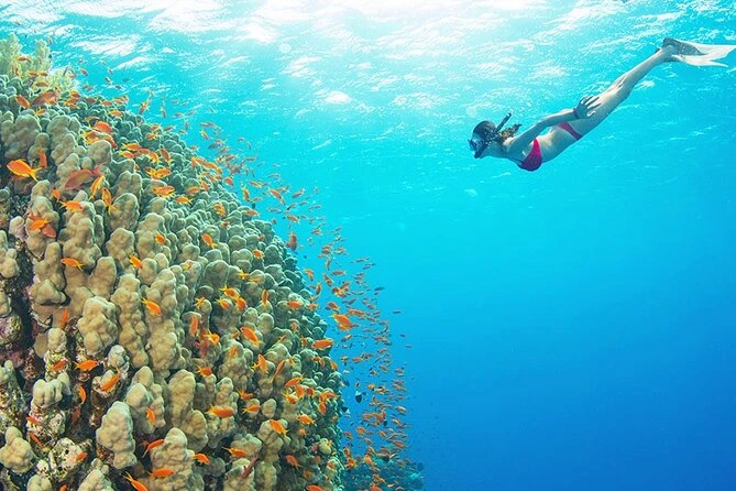 Sharm El Sheikh Diving Prices & Extra Costs to Budget For