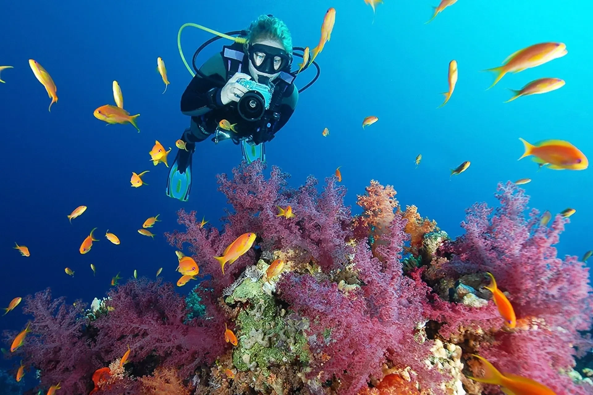 Sharm El Sheikh Diving Prices at a Glance