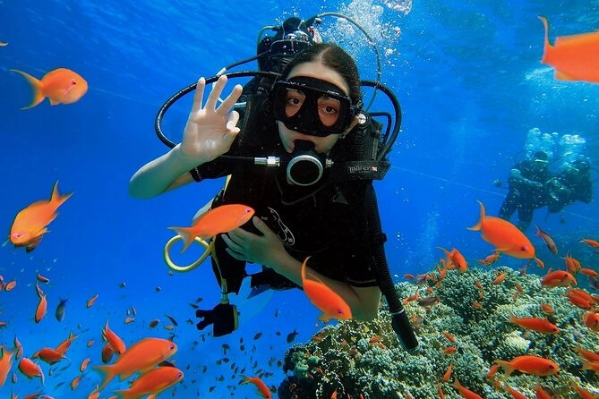Tips for Getting the Best Sharm El Sheikh Diving Price
