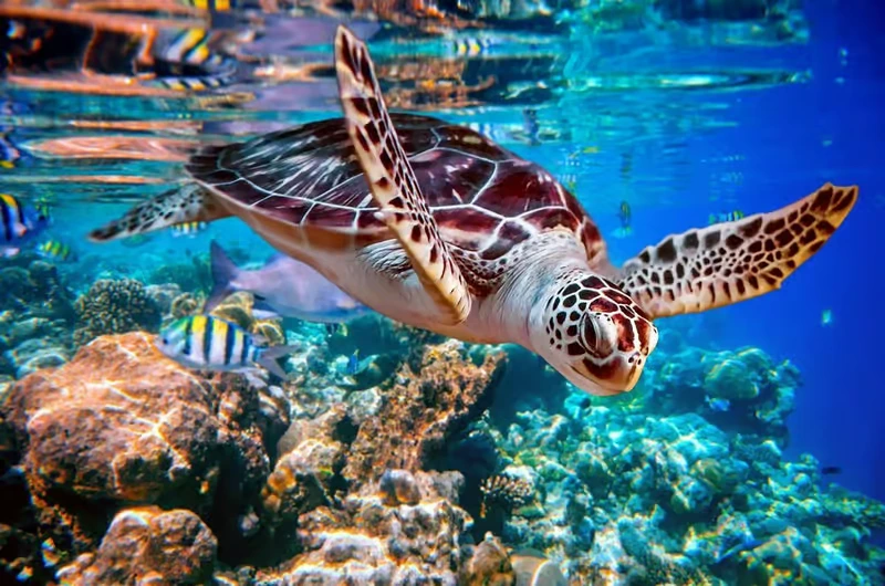 Best Time to Visit Hurghada