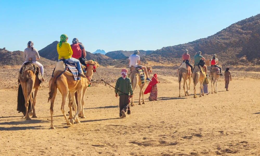 Desert Adventures — Exploring Hurghada's Wild Side