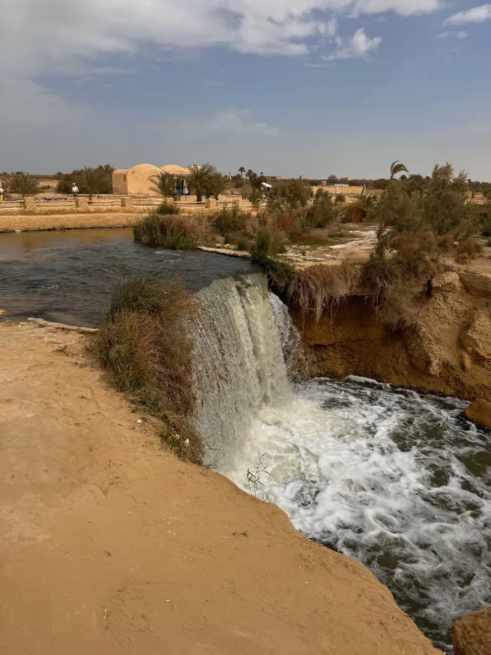 Cairo to Fayoum: Solo Private Safari Tour