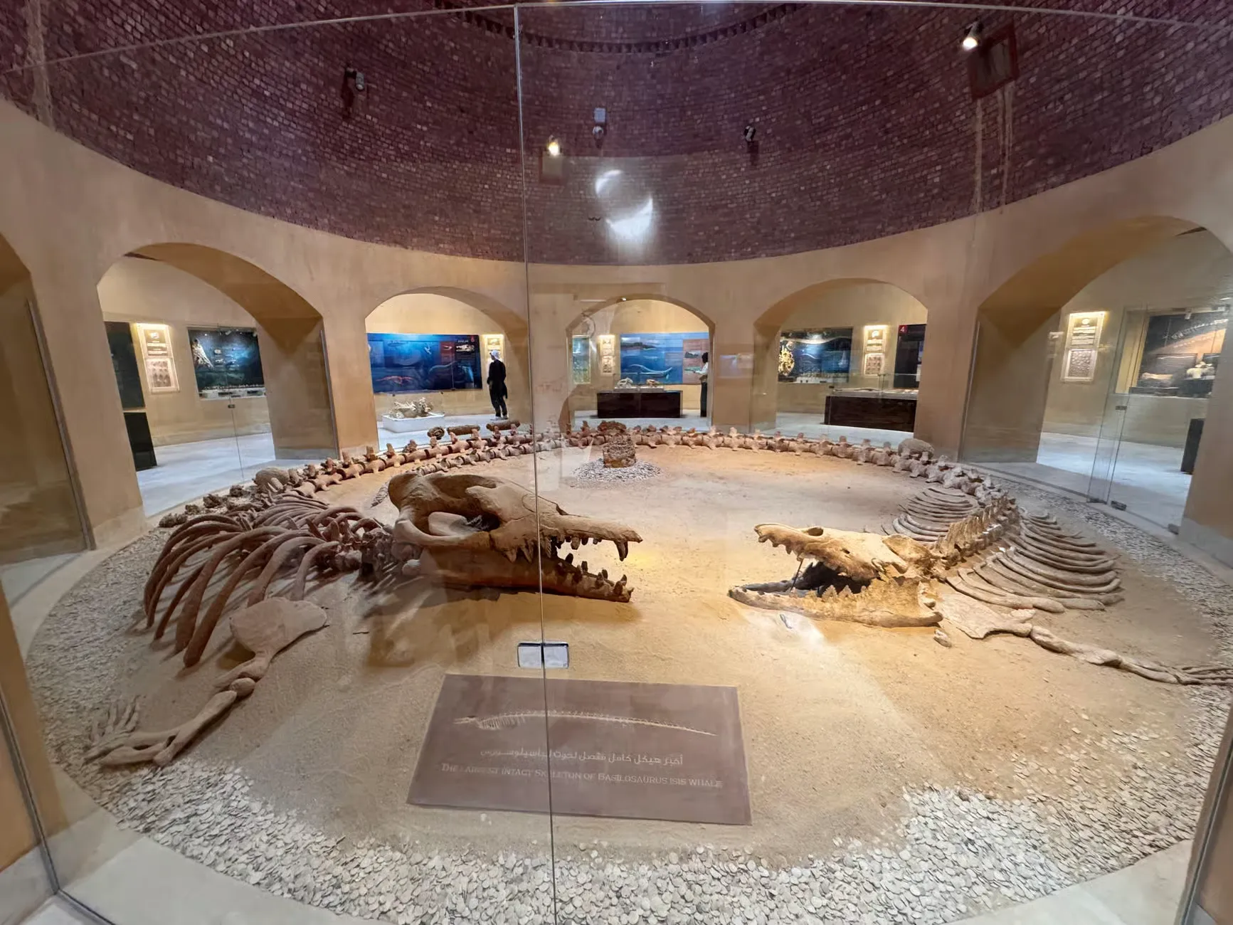 Cairo to Fayoum: Private Meditative Oasis Tour