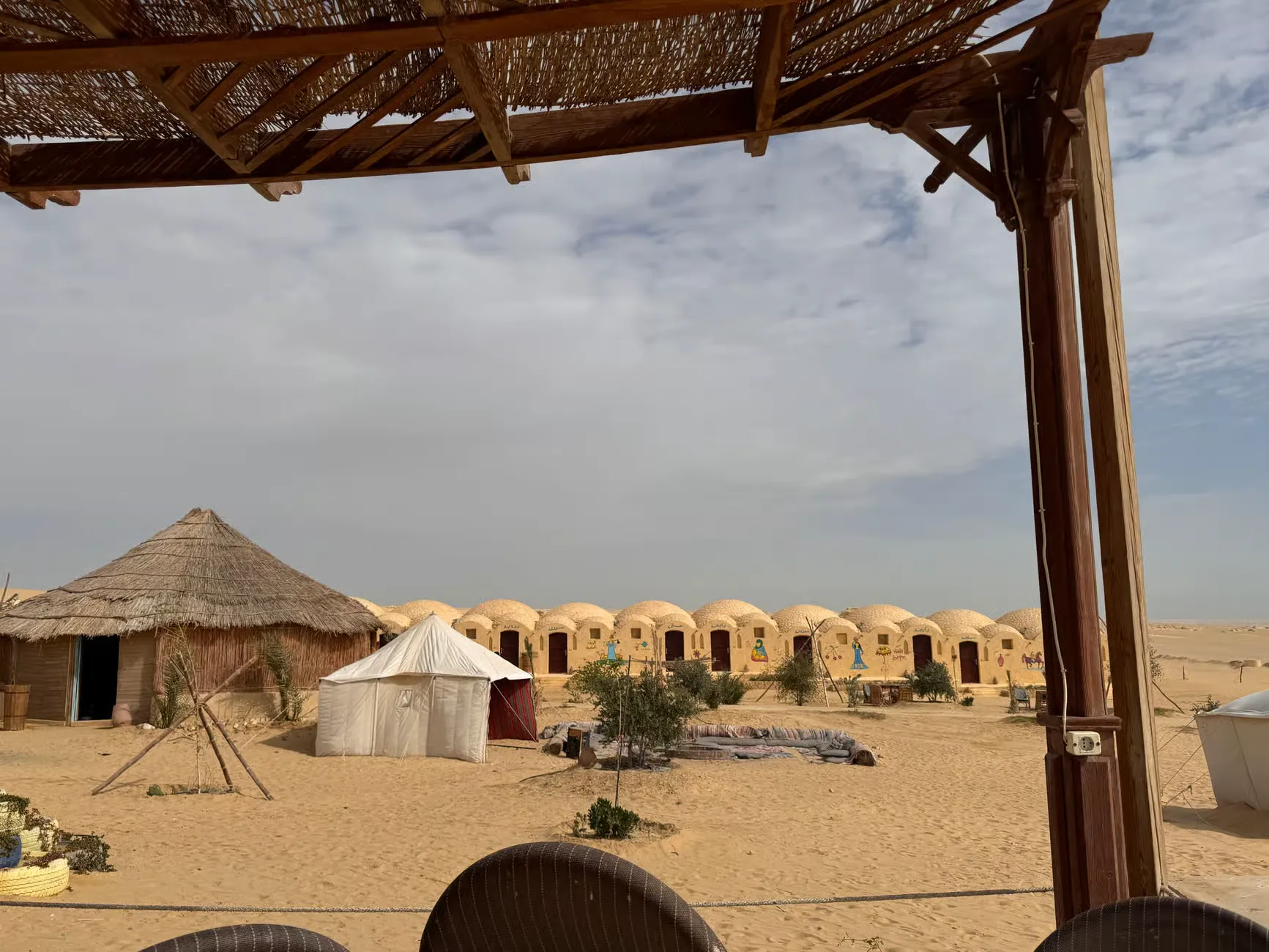 Two Day Trip to Fayoum Oasis and Wadi El Hitan From Cairo