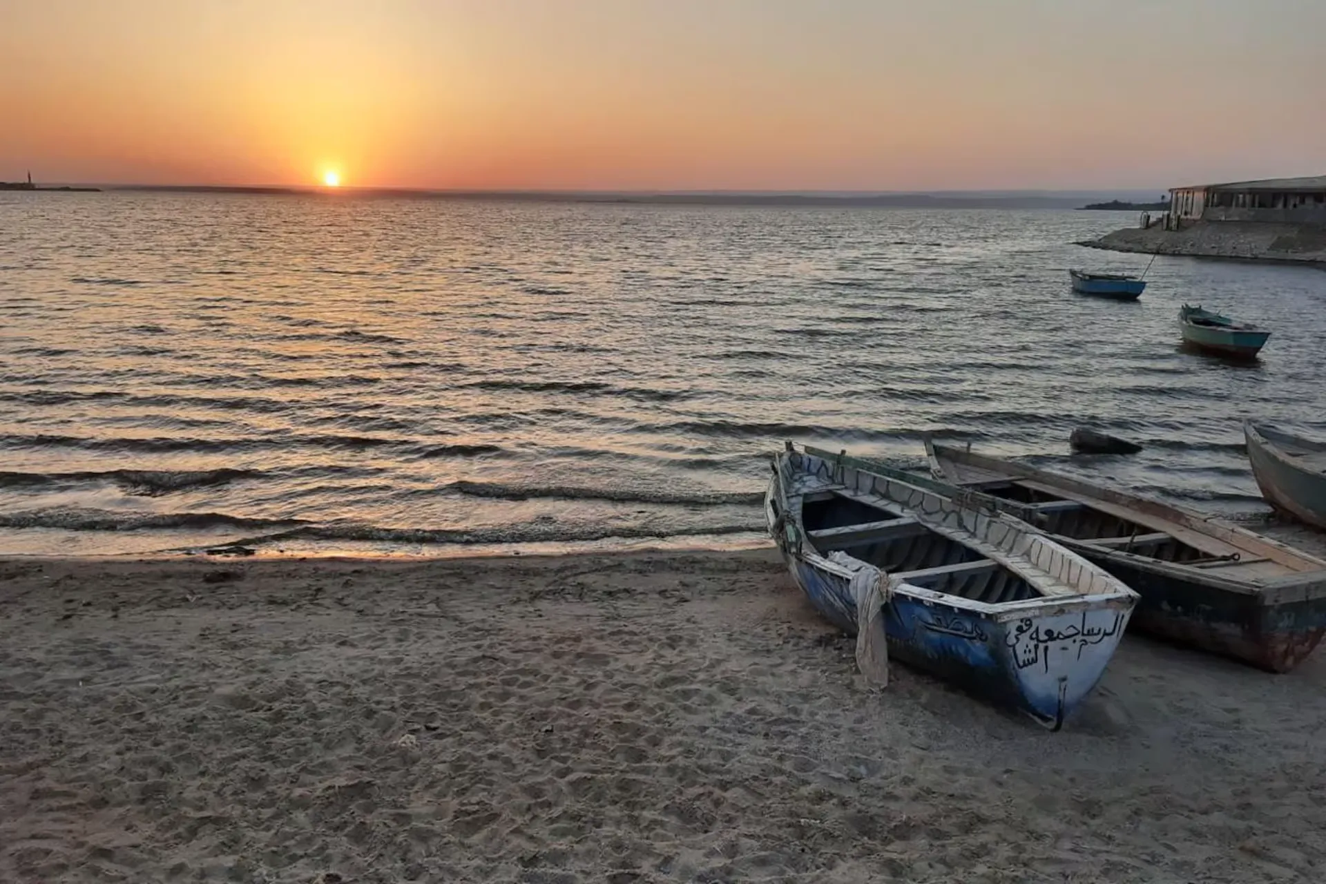 2 Day trip to wadi el Hitan in Fayoum