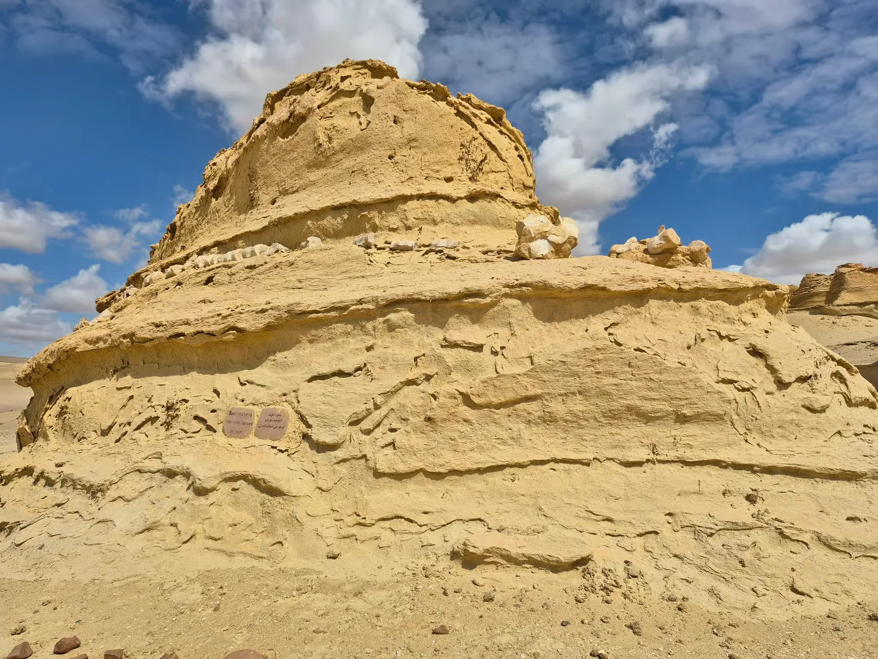 Full-Day Fayoum Trip From Cairo