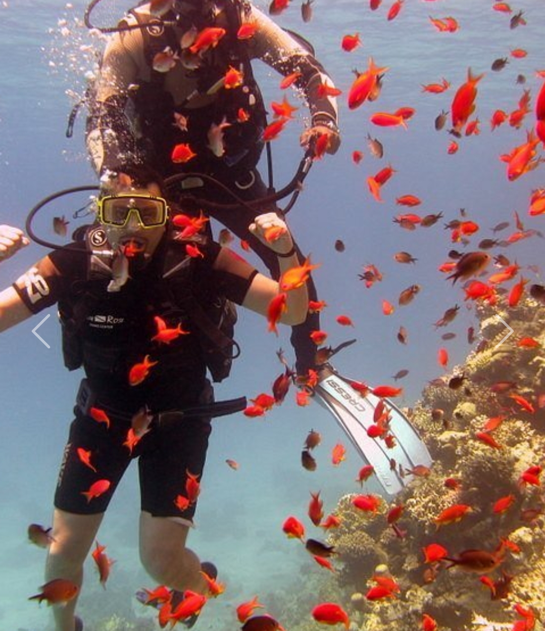 Nemo Kamal | Egyptologist English And Italian Tour Guide In Sharm El Sheikh