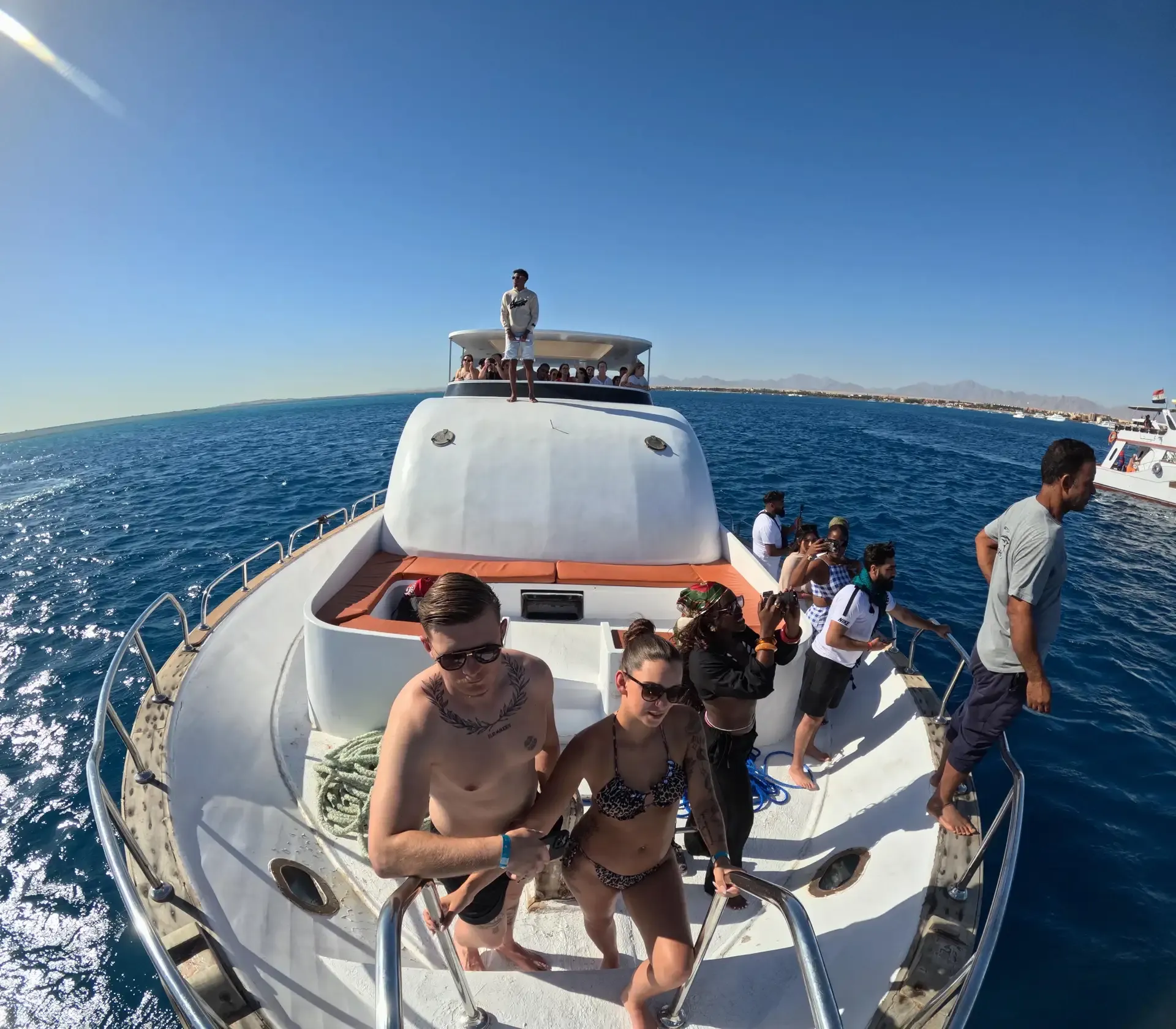 Private Dolphin House Trip