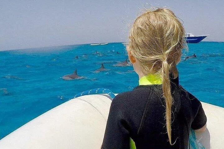 Day Trip Snorkeling To Dolphins House From Hurghada