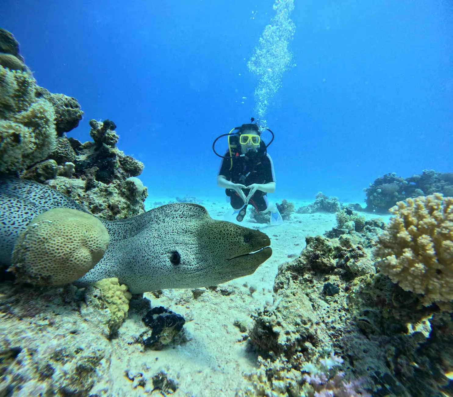Scuba Diving Hurghada: Wide Angle Camera Trip