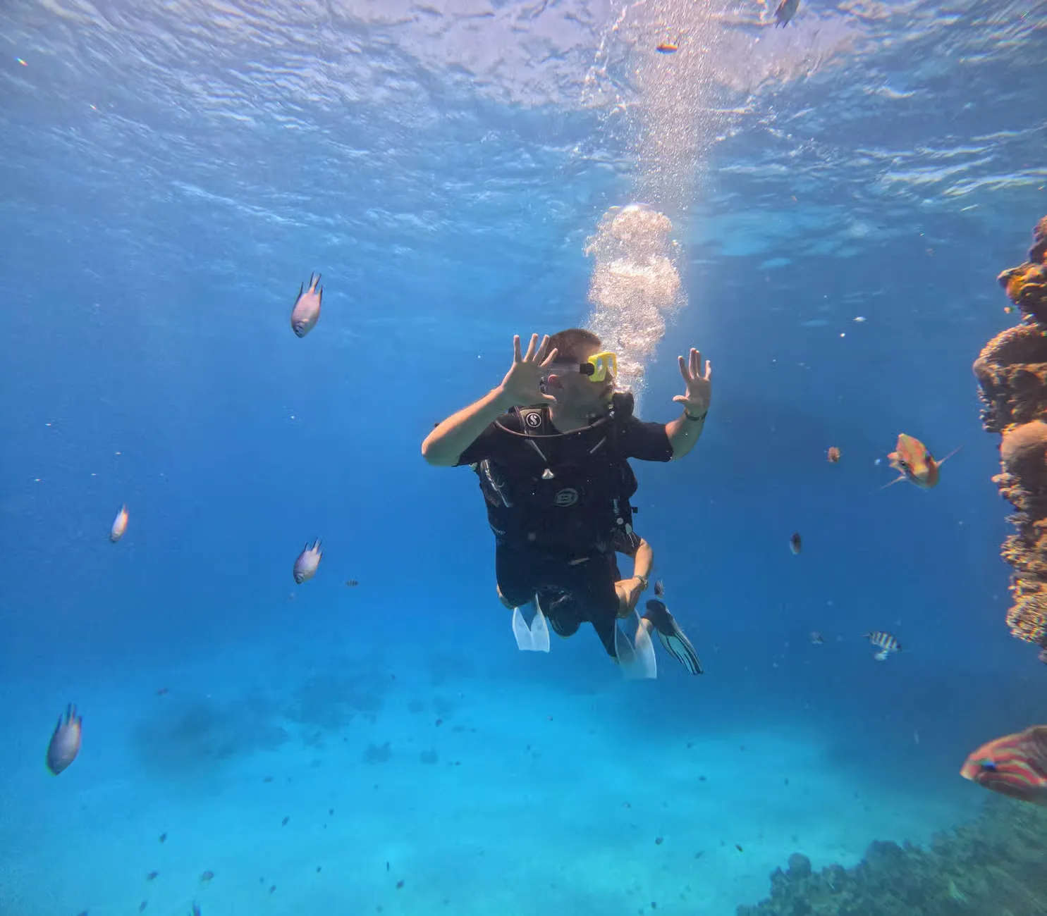 Scuba Diving Hurghada: Local Maritime Culture