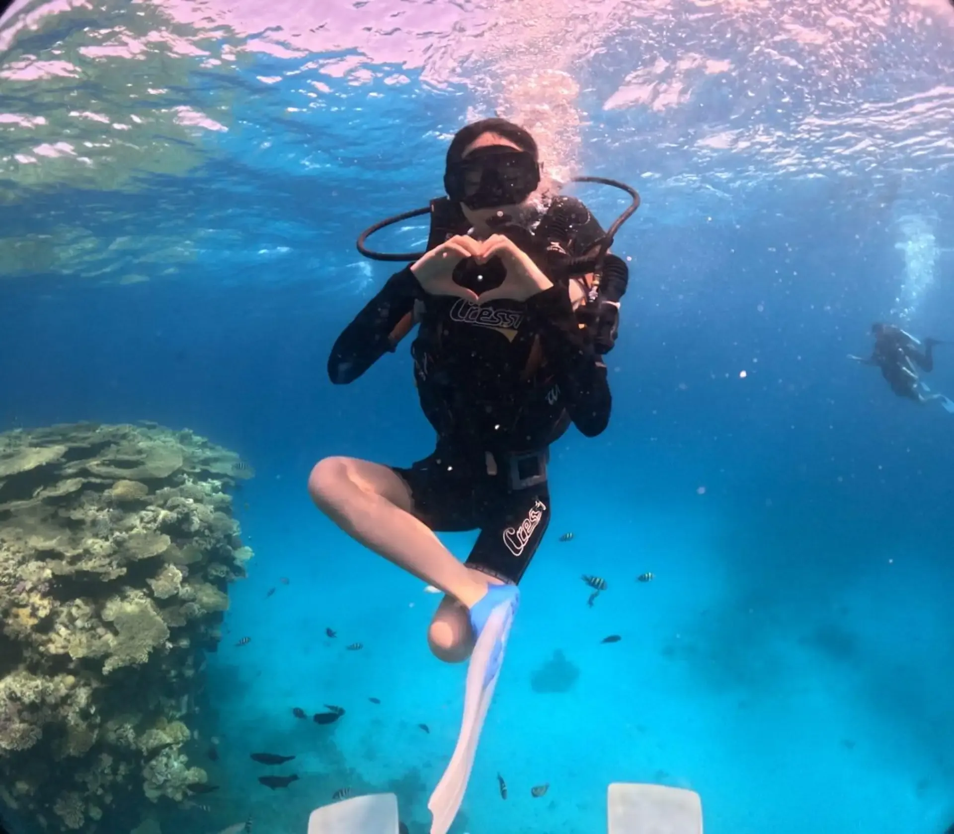 Scuba Diving Hurghada: Marine Life Eco Project