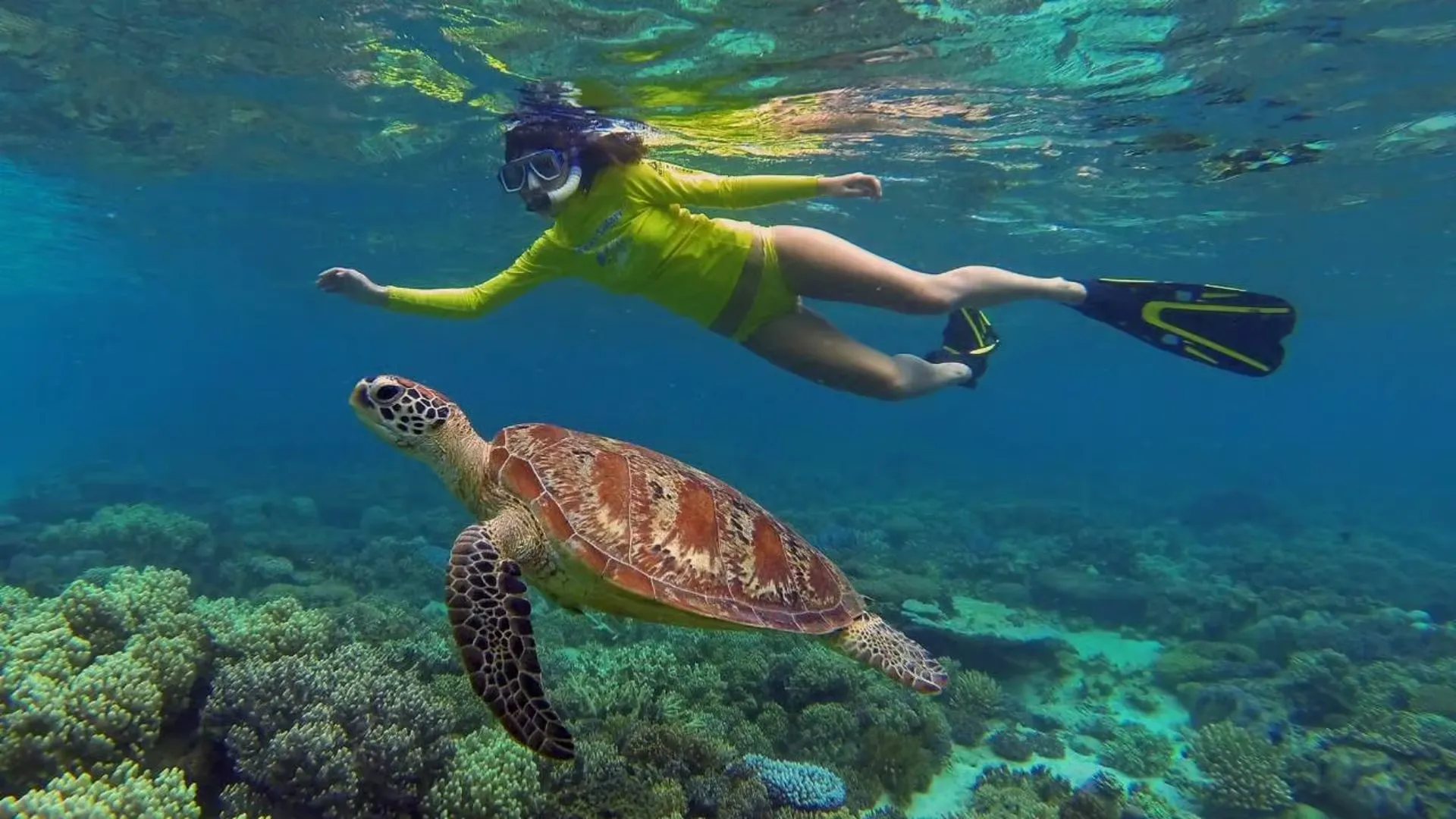 Marsa Mubarak Snorkeling & Diving Trip