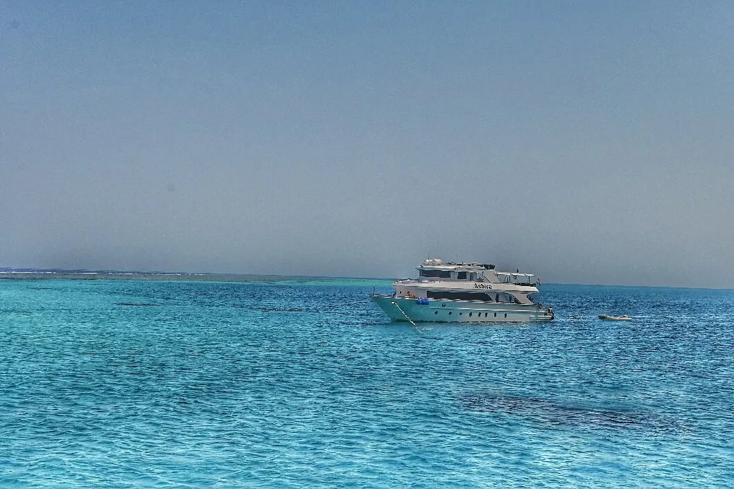 Sataya Dolphin Reef